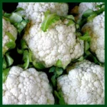 Cauliflower F1 Hybrid  Seeds